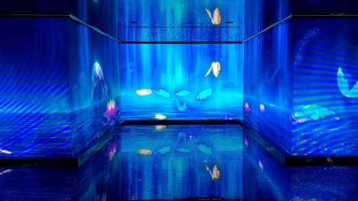 Exhibitions & Showrooms